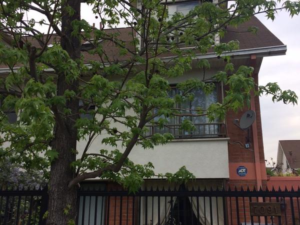 Housesitting assignment in Santiago, Chile