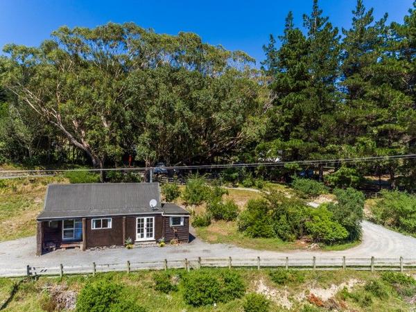 Housesitting assignment in Wainuiomata, New Zealand