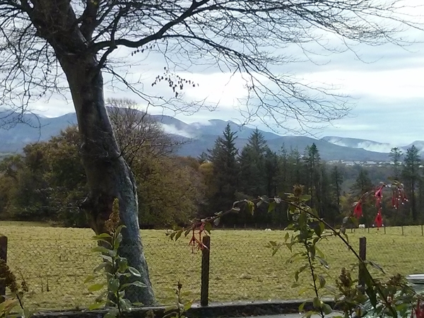Housesitting assignment in Llandegfan, United Kingdom