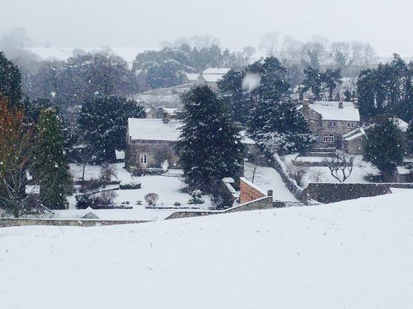 Housesitting assignment in Ashford, United Kingdom