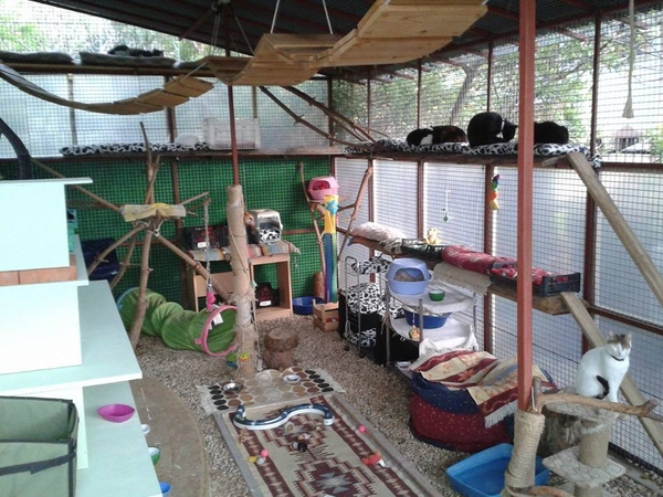 Housesitting assignment in Fethiye, Turkey