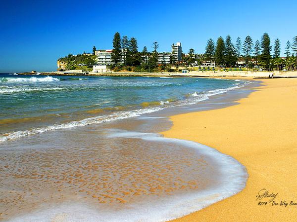 Housesitting assignment in Dee Why, New South Wales, Australia