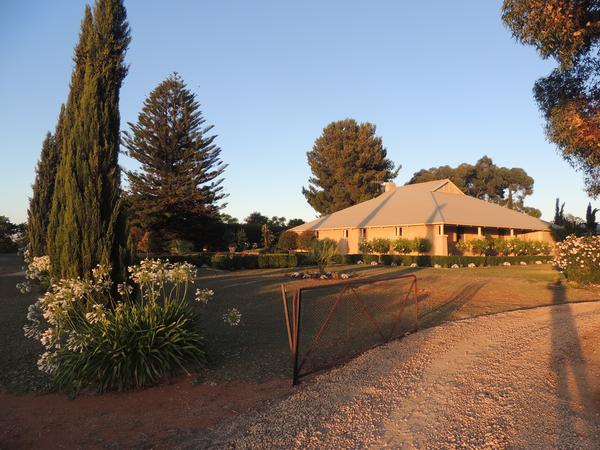 Housesitting assignment in Loxton, South Australia, Australia