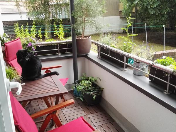 Housesitting assignment in Hannover, Germany