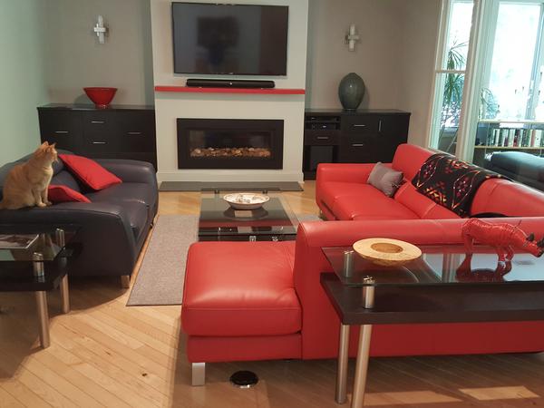 Housesitting assignment in Fearrington Village, NC, United States