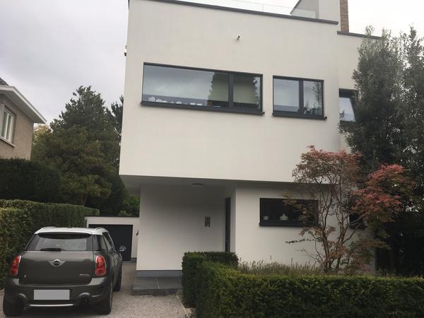 Housesitting assignment in Brussels, Belgium