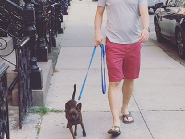 Housesitting assignment in Hoboken, NJ, United States