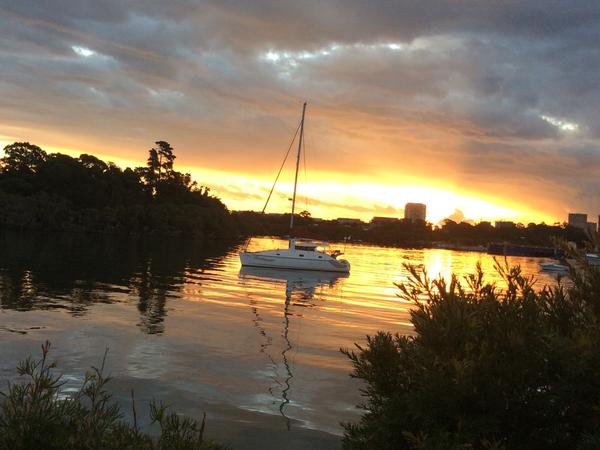 Housesitting assignment in Mortlake, New South Wales, Australia