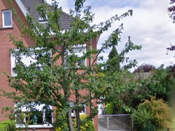 Housesitting assignment in Gent, Belgium