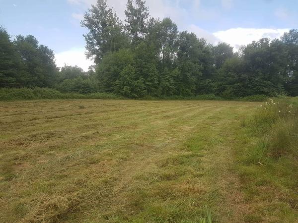 Housesitting assignment in Nieuil, France