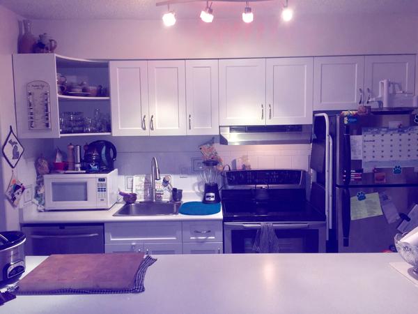 Housesitting assignment in West Vancouver, British Columbia, Canada