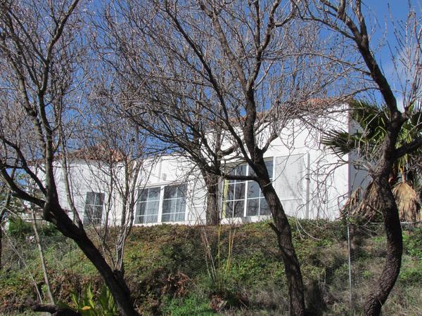 Housesitting assignment in Santa Cruz de Tenerife, Spain