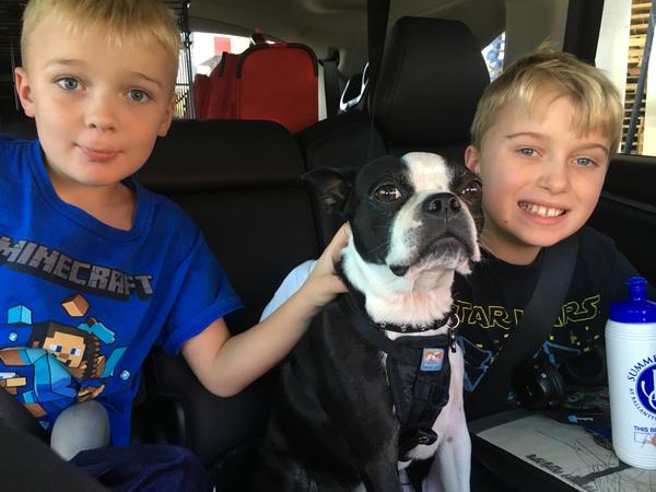Housesitting assignment in Roswell, GA, United States