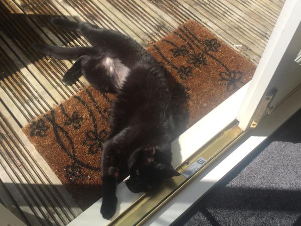 Housesitting assignment in Alderley Edge, United Kingdom