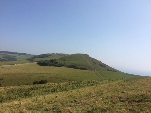 Housesitting assignment in Crewkerne, United Kingdom
