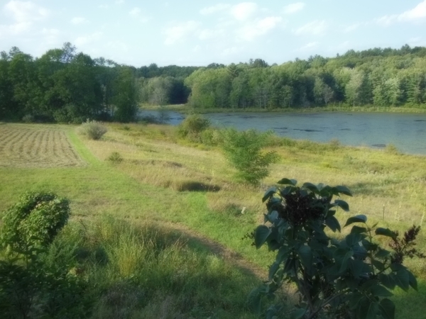 Housesitting assignment in Woodstock, Connecticut, United States
