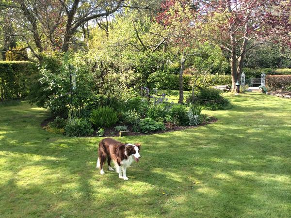 Housesitting assignment in Haywards Heath, United Kingdom