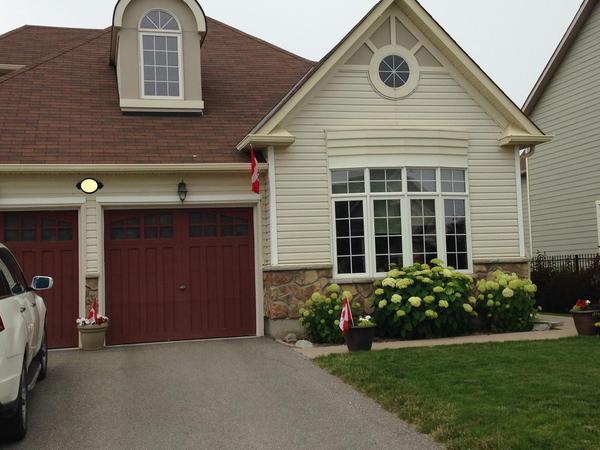 Housesitting assignment in Collingwood, ON, Canada