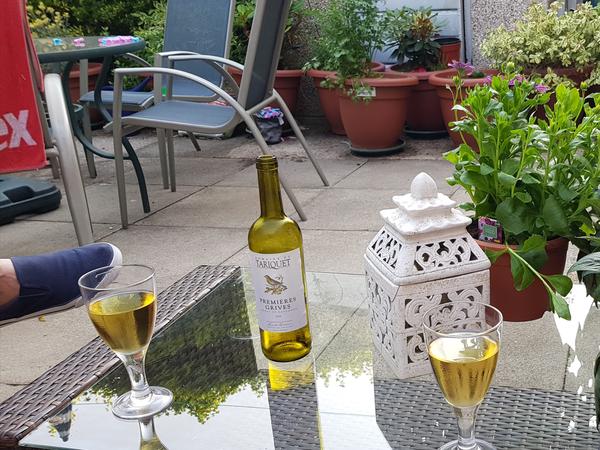 Housesitting assignment in Cardiff, United Kingdom