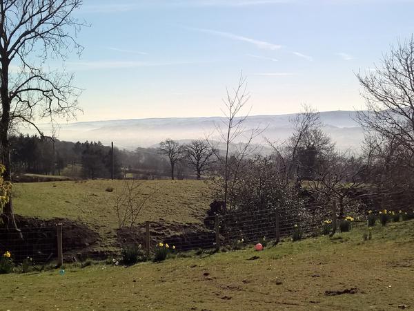 Housesitting assignment in Trefeglwys, United Kingdom