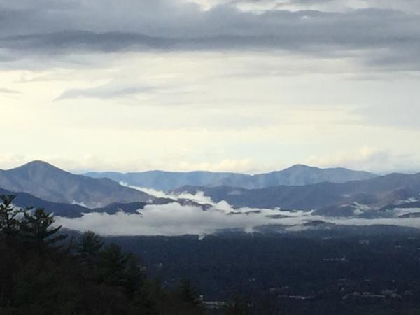 Housesitting assignment in Asheville, NC, United States