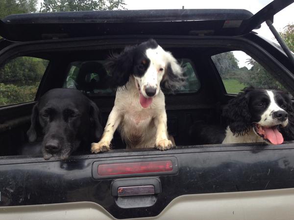 Housesitting assignment in Over Kellet, United Kingdom