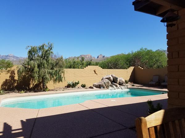 Housesitting assignment in Tucson, AZ, United States