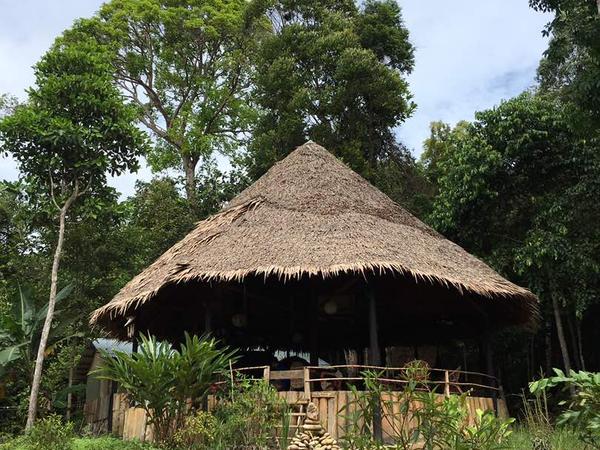 Housesitting assignment in Kuching, Malaysia