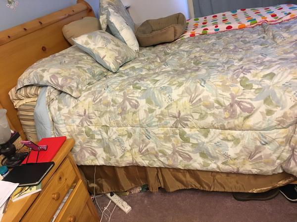 Housesitting assignment in Anchorage, Alaska, United States