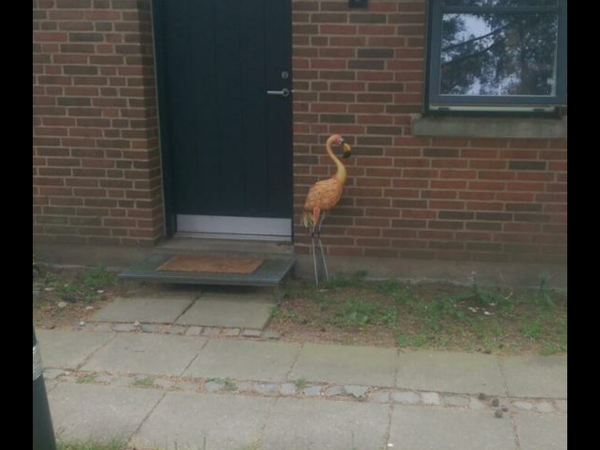 Housesitting assignment in Silkeborg, Denmark