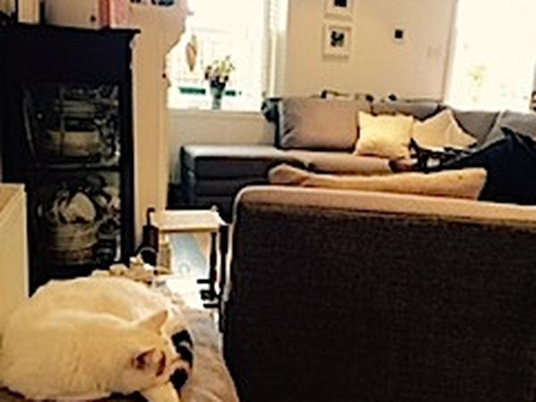 Housesitting assignment in Great Malvern, United Kingdom