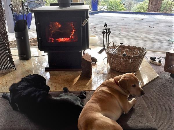Housesitting assignment in Ringwood North, Victoria, Australia