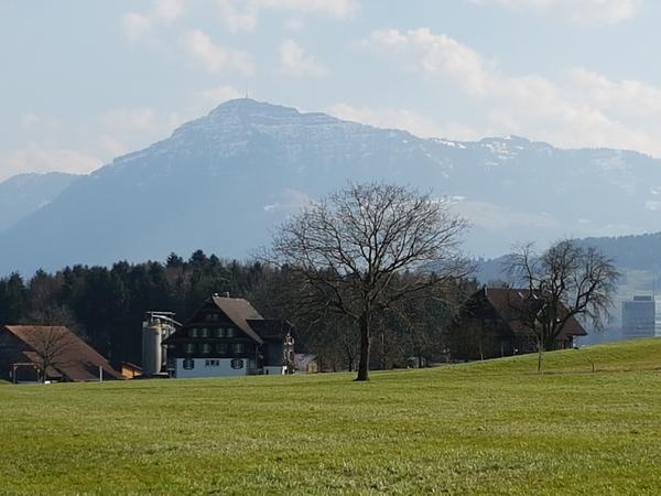 Housesitting assignment in Hünenberg, Switzerland