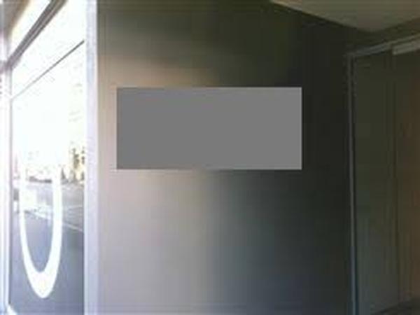 Housesitting assignment in Wellington, New Zealand
