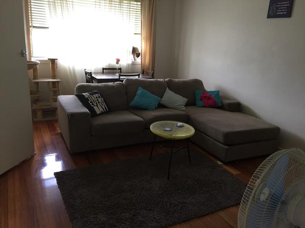 Housesitting assignment in Moorabbin, VIC, Australia