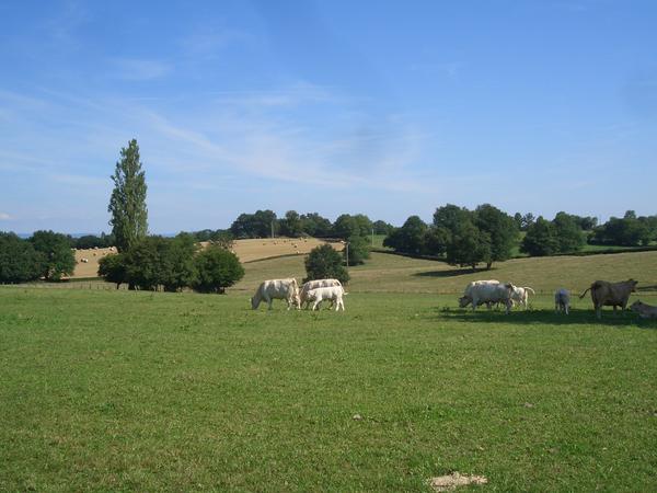 Housesitting assignment in Romenay, France
