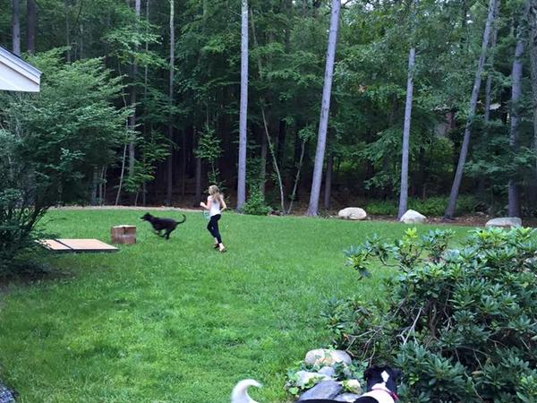 Housesitting assignment in Concord, MA, United States