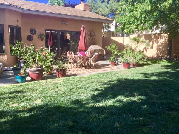 Housesitting assignment in Albuquerque, NM, United States