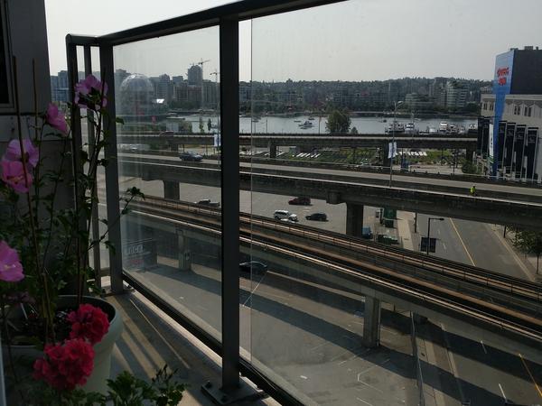 Housesitting assignment in Vancouver, British Columbia, Canada