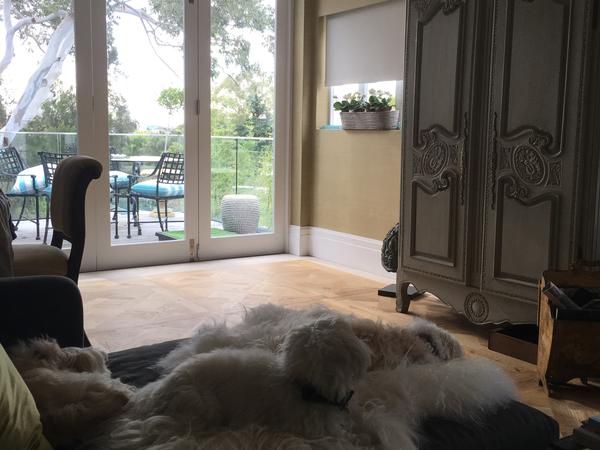 Housesitting assignment in Bellevue Hill, New South Wales, Australia