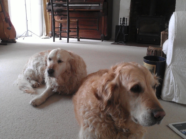 Housesitting assignment in Stockbridge, United Kingdom