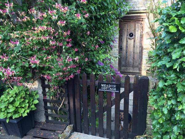 Housesitting assignment in Stroud, United Kingdom