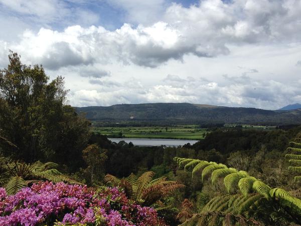 Housesitting assignment in Hokitika, New Zealand