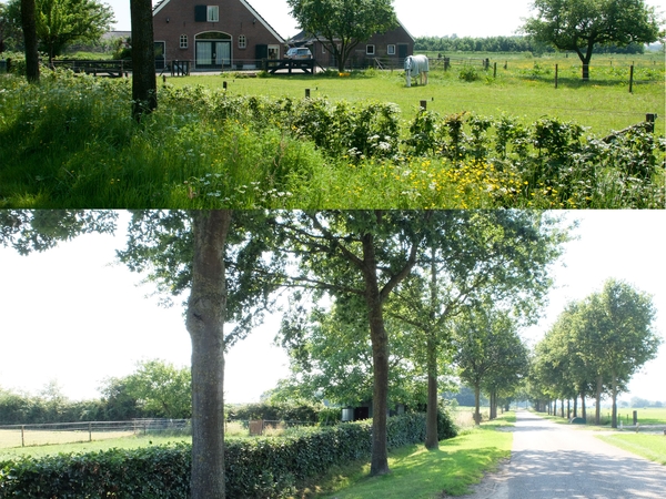 Housesitting assignment in Doesburg, Netherlands