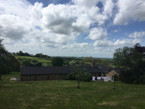 Housesitting assignment in Oxford, United Kingdom