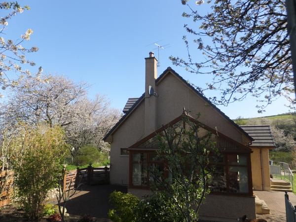 Housesitting assignment in Elgin, United Kingdom