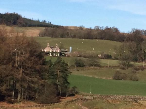 Housesitting assignment in Thornhill, United Kingdom
