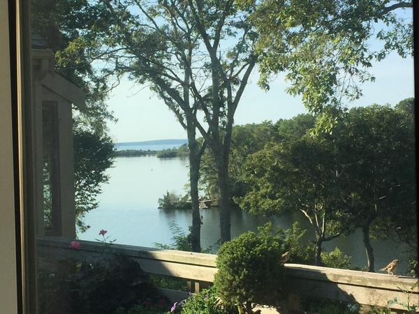 Housesitting assignment in Falmouth, Massachusetts, United States