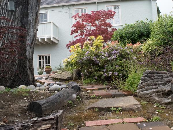 Housesitting assignment in Millbrae, California, United States