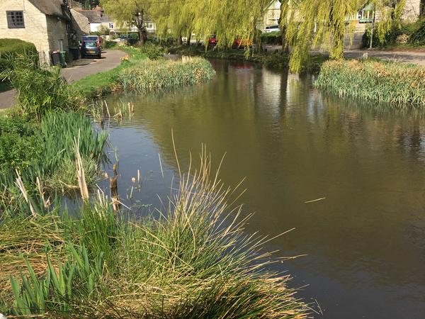 Housesitting assignment in Weymouth, United Kingdom
